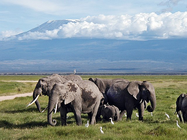 Amboseli National Park