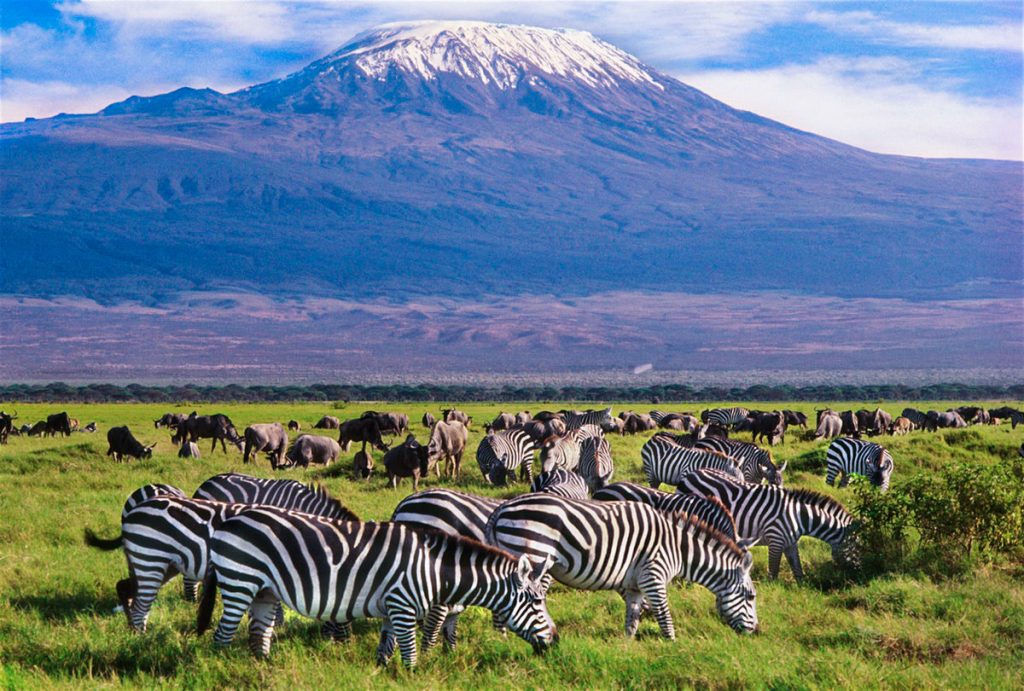 Amboseli Kenya Safari