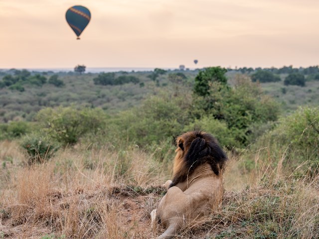 Masai mara national park