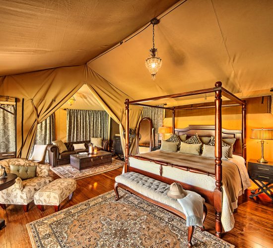 Luxury Masai Mara Safaris