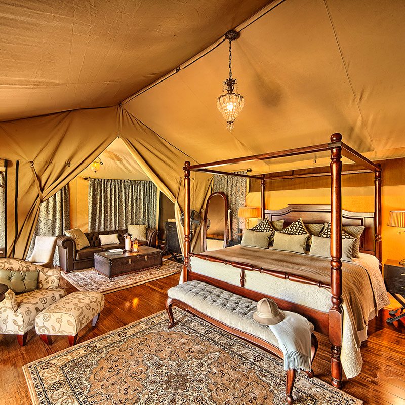 Luxury Masai Mara Safaris